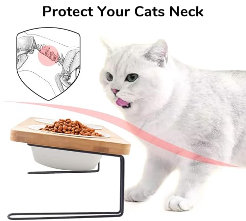 FUKUMARU Elevated Cat Ceramic Bowls, Small Dog 15° Tilted Raised Food Feeding Dishes, Solid Bamboo Water Stand Feeder Set for Cats and Puppy