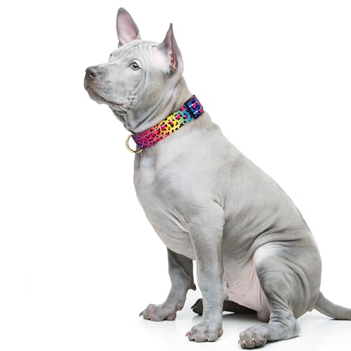 TMOODEL Reflective Dog Collar for Medium Dogs, Cute Leopard Style Adjustable Heavy-Duty Nylon Puppy Collar for Boy and Girl Female, Soft Pet Accessories with Quick Release Buckle, Neon