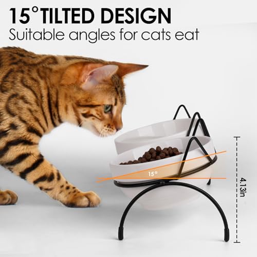 Cat Food Water Bowl Set, Double Ceramic Pet Bowls with 15°Tilted Raised Stand, Elevated Feeding Station with Two Removable Bowls, Raised Cat Bowl, Anti Vomiting Pet Dish Feeder, Kitten and Small Dogs
