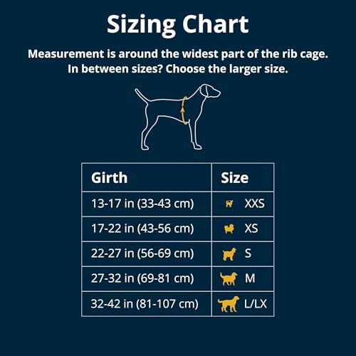 Ruffwear, Flagline Dog Harness, Lightweight and Reflective, No Pull Dog Lift Harness for Hiking, Running and Everyday Use, Basalt Gray, Large/X-Large