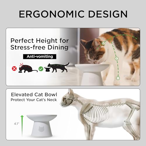 Necoichi 2pcs Extra-Wide Elevated Cat Food Bowls – BPA-Free Plastic Raised Bowls to Reduce Whisker & Neck Fatigue – Dishwasher Safe – Non-Slip, Anti-Vomiting Ergonomic Design(Classic)