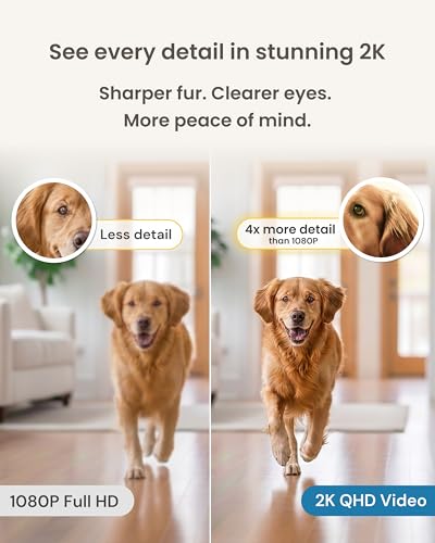 Furbo Mini 360° [Subscription Required] New 2K QHD Pet Camera - Unlock w/Paid Plan: Dog & Cat Safety Alerts, Rotating Treat Toss, 2-Way Speaker (Low Risk, 3mo Min. Cancel Anytime)