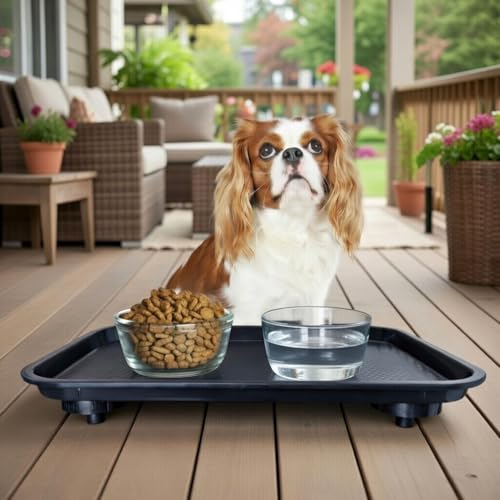 BugSnub Ant Proof Tray - Waterless, Moat Free Cat and Dog Food Tray for Crawling Pest Free Pet Food Feeding Station. Kitchen Sweets and Trash, Ant Free Platform.