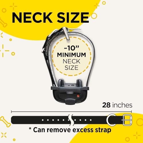 Dogtra iQ Mini Rechargeable Waterproof Mini Dog Training E-Collar with Water-Resistant Remote
