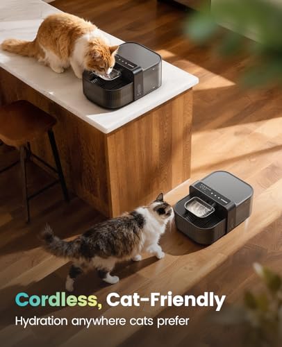 oneisall Wireless Filterless Cat Water Fountain, Separate Clean and Dirty Water Pet Fountain with Stainless Steel Bowl, 3.5L/118oz Quiet No Filter Smart FreshFill Automatic Cat Water Dispenser, Black