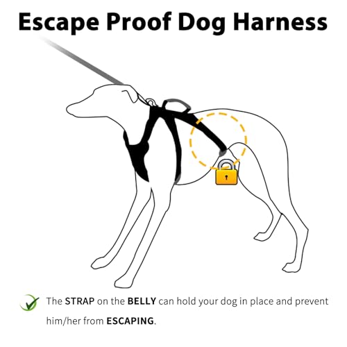 Huntboo Escape Proof Dog Harness, Escape Artist Harness, Fully Reflective Harness with Padded Handle, Breathable,Durable, Adjustable Vest for Medium Dogs Walking, Training, and Running Gear (Pink,M)