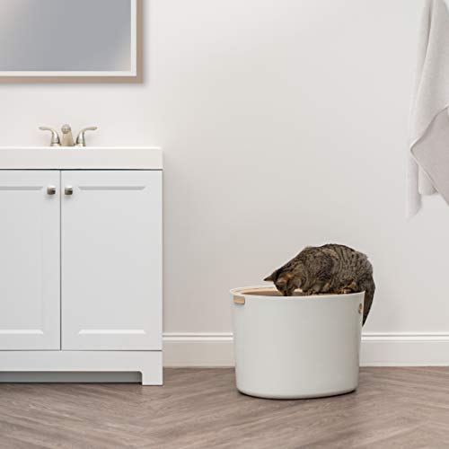 IRIS USA Cat Litter Box Large Top Entry with Lid Enclosed Covered Hooded Design Litter Catching Scatter Shield Pan Dog Proof Pet Proof Scoop Included Odor Control for Indoor Cats Kittens Beige/White