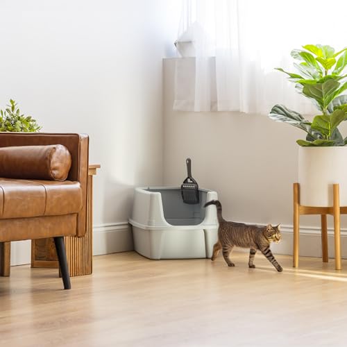 IRIS USA Cat Litter Box Large Open Top with High Sided Walls Tall Scatter Shield Scoop Included Easy Clean Plastic Pan Stain Resistant for Big Cats Kittens Indoor Multi-Cat Households