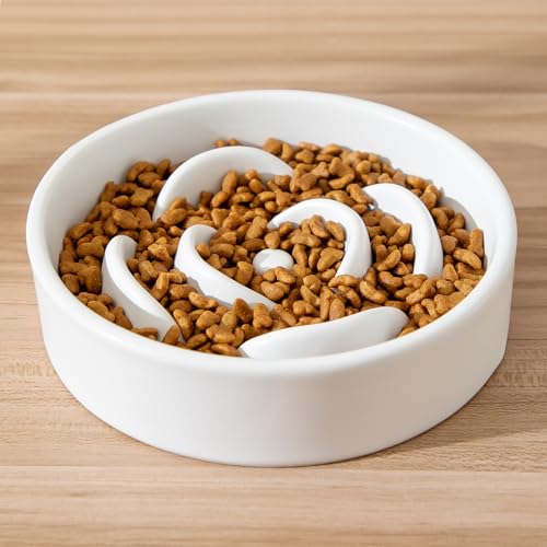 Welloyed 6'' Ceramic Slow Feeder Dog Bowls - Petal Shape Modern Dog Food Dish for Cats and Small Breed Dogs, Puzzle Maze Bowl to Slow Down Eating, Anti-Gulping, Dishwasher & Microwave Safe, White