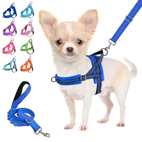 Lukovee No Pull Dog Harness and Leash Set, Soft Padded Small Dog Harness, Neck & Chest Adjustable Reflective Vest Puppy Harness with 4ft Lightweight Anti-Twist Dog Leash for Small Dogs (XS, Blue)