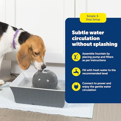 PetSafe Drinkwell Ceramic Pet Water Fountain - Quiet Automatic 70oz Dispenser for Cats & Dogs with Filters - Dishwasher Safe Square Design