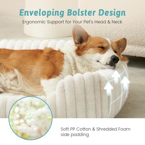 Orthopedic Dog Bed for Small Dogs & Cats - Washable Rectangle Pet Bed with Anti-Slip Bottom, Soft Calming Cat & Puppy Bed for Indoor Pets (25"x21"x6", Cream)