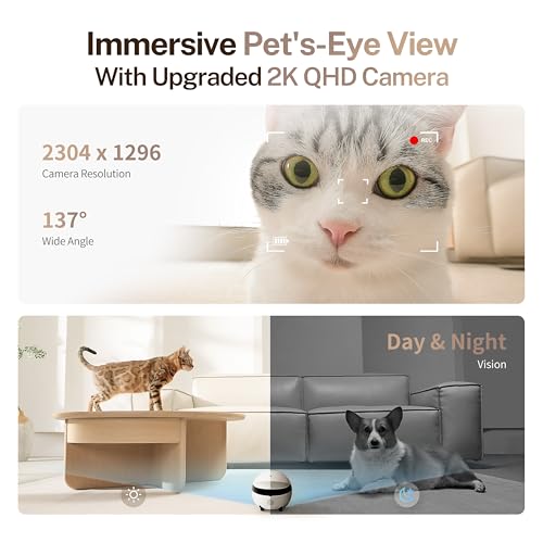 Enabot EBO ROLA Mini FamilyBot 2K Pet Camera Robot: Movable Indoor Camera Battery-Powered with Phone App, One-Touch Call, 2-Way Talk, Night Vision, Motion Detection, Video Recording
