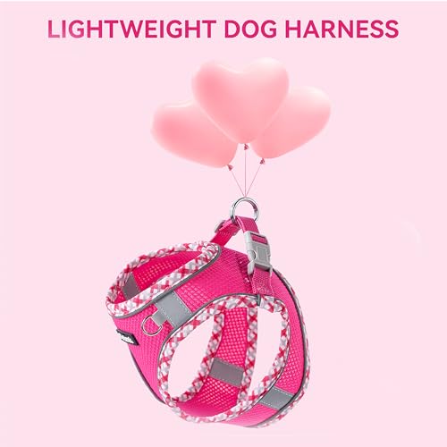 Petank Dog Harness for Small Medium Dogs No Pull, Puppy Harness and Leash Set, Step in Dog Harness for Walking, Running, Training, Small Dog Vest(Purple, S)