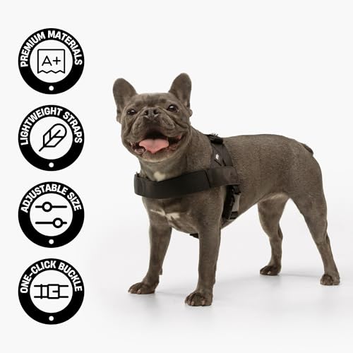 Dog Friendly Co. Dog Harness | Chafe Resistant Webbing, Adjustable Neck & Chest, and Heavy Duty D-Ring | Sturdy, Comfortable, Easy to Use | Pink, Size L