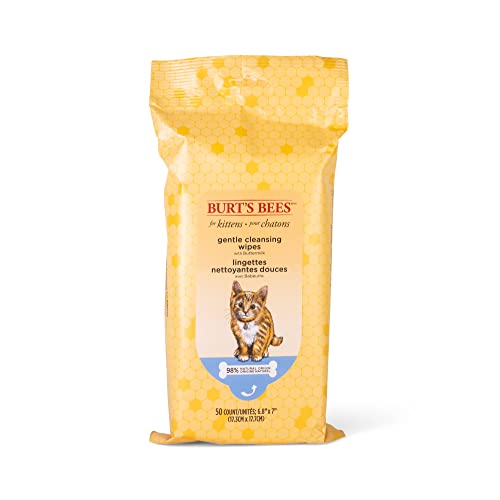 Burt's Bees for Pets Kitten Grooming Wipes with Buttermilk and Honey, Waterless Cat Bath Wipes for Face, Paws, Tail and Coat Cleaning, Gentle Bath Alternative for Indoor Felines, 50 Count