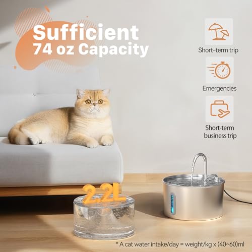 Cat Water Fountain Stainless Steel: 74oz/2.2L Cat Fountain for Drinking - Pet Water Fountain for Cats Inside - Automatic Cat Water Dispenser Bowl - Cat Feeding & Watering Supplies 6 Filters 3 Sponges
