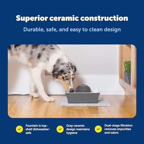 PetSafe Drinkwell Ceramic Pet Water Fountain - Quiet Automatic 70oz Dispenser for Cats & Dogs with Filters - Dishwasher Safe Square Design