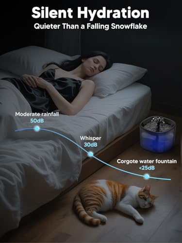 Automatic Cat Feeder and Water Fountain, 4L/16Cups Pet Dry Food Dispenser 2L Water Dispenser, Locking Lid, Programmable Timer 6 Daily Meals, 10s Voice Recorder, Cat Accessories for Puppy Kitten