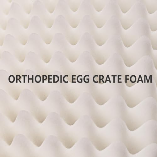 Patas Lague Orthopedic Dog Bed Large Sized Dog 36''X24'', Waterproof Soft Comfortable Egg Crate Foam Large Pet Beds Crate Mat with Removable Washable Cover and Nonskid Bottom, Black
