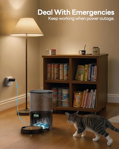 Automatic Cat Feeder Food Dispenser: 4L Timed Small Dog Dry Food Dispenser with 10s Voice - Distributeur Nourriture Chat Hund Programmable - Auto Pet Feeder with 1-6 Meals Per Day