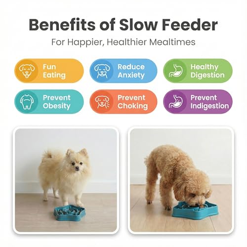 Sufisat Pet Slow Feeder Bowl for Small Dogs, Puzzle Feeder for Petite Dogs, Anti-Choking, Slow Eating, 350ML Capacity, BPA-Free, Small Size