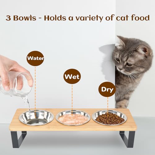 Elevated Cat Bowl, 15° Tilted Cat Bowl Stand with 3 Stainless Steel Bowls for Indoor Cats and Pet, Raised Cats Bowls for Food and Water