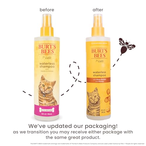 Burt's Bees for Pets Waterless Cat Shampoo Spray, No-Rinse Cat Dry Shampoo with Shea Butter & Honey for Gentle Cleaning Between Baths, pH Balanced, No Harsh Detergents, 10 Fl Oz