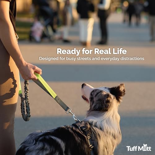 Tuff Mutt Hands Free Dog Leash for Walking Running Hiking, Waist Leash with Bungee, Adjustable Belt, Reflective Double Handle Design for Large Medium Dogs