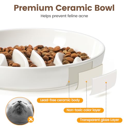PETTOM Slow Feeder Cat Bowl Elevated Ceramic with Bamboo Stand, Raised Pet Puzzle Dishes for Indoor Cats Small Dog, Anti Vomit Cat Bowl for Wet & Dry Food