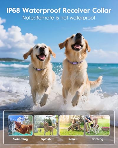 SLOPEHILL Dog Shock Collar - 4200FT Dog Training Collar with Remote,IPX8 Waterproof E-Collar with Beep,Vibration,Shock,Flash Light,No Shock Model,Electric Shock Collar for Dogs 8-140lbs,Purple 2PCS