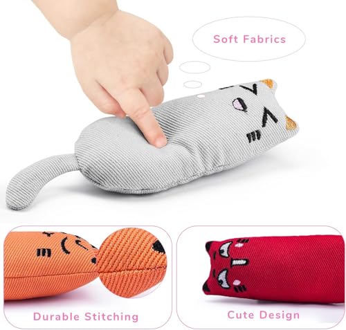 Legendog 5Pcs Bite Resistant Catnip Toy for Cats,Catnip Filled Cartoon Mice Cat Teething Chew Toy