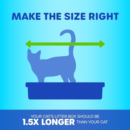 Petmate Basic Open Cat Litter Pan, Multidirectional Easy to Clean Plastic Litter Box, Gray, Made in USA, 14.5" x 10.5" x 3.5", Small Recommended for Kittens and Small Cats