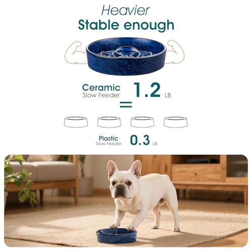 vancasso Slow Feeder Dog Bowl, 0.6 Cups Ceramic Dog Food Dish for Fast Eaters Small Breed, Puzzle Bowl for Small Dogs and Cats, Blue