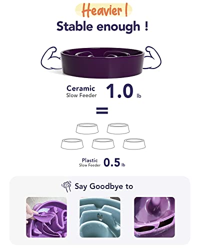 LE TAUCI Ceramic Slow Feeder Dog Bowls Small Breed, 0.6 Cups Dog Food Dish for Fast Eaters, Puzzle Bowl for Small Dogs and Cats,Purple