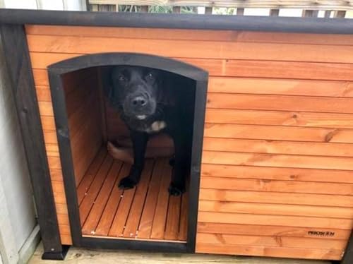 PRECISION PET PRODUCTS Extreme Outback Log Cabin Dog House, Large, Natural Wood (7027013)