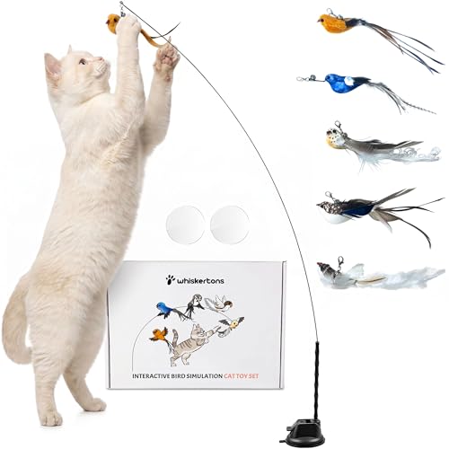 Whiskertons Interactive Bird Simulation Cat Toy Set, Interactive Cat Toys for Indoor Cats, Cat Feather Toy, Self-Holding Suction Base, 5 Replacement Birds, Feathers & Bells, Realistic Bird Impression