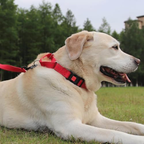 Joytale Martingale Collar for Dogs, Reflective Escape Proof Training Dog Collars with Safety Lock Buckle, No Slip Soft Nylon for Medium Pets, Red, M