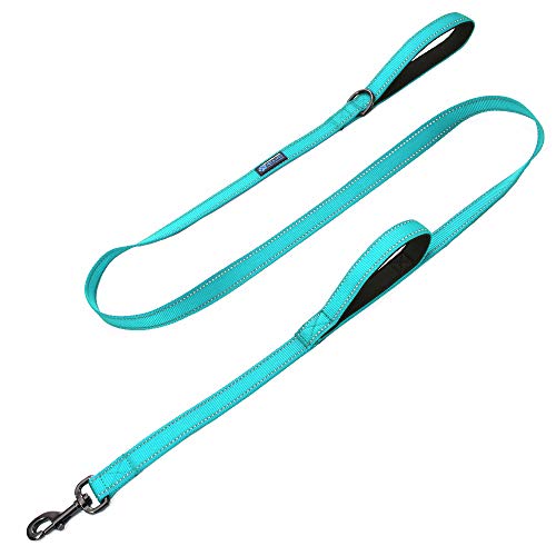 Max and Neo Double Handle Traffic Dog Leash - Reflective, Donates to Dog Rescue (Teal, 6 FT)