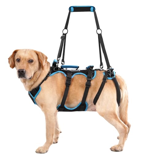 Lafoty Dog Lift Harness for Large Male Dogs, 2-in-1 Detachable Support Harness, Full Body Carrying with 4 Handles, Dog Sling for Large Dogs Hind Leg Support(Black, X-Large)