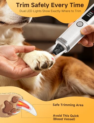 Ckin pet Dog Nail Grinder, Quiet Electric Dog Nail Trimmer with 2 LED Lights, 3-Speed Pet Nail Grinder for Dogs & Cats, Rechargeable 2000mAh Nail Grinder for Small Medium Large Dogs with Light, White