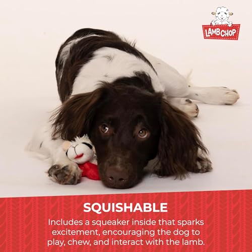 Multipet Lamb Chop Dog Plush Toy - Squeaky Toy for All Dogs - Extra Soft Plush - Stuffed Animal Dog Toy for Cuddling & Playing - Cute Pet Toy (6", Cream)