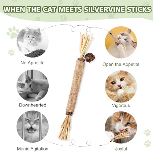 WOUSEDO 6 Pack Silvervine Sticks Cat Toy, Natural Chew Stick for Dental Care Teeth Cleaning,Matatabi Cat nip Treat Toys for Indoor Cats& Kittens