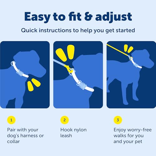 PetSafe Nylon Dog Leash Strong, Durable, Traditional Style Lead with Easy to Use Bolt Snap for Small, Medium and Large Dogs 3/8" x 6', Black