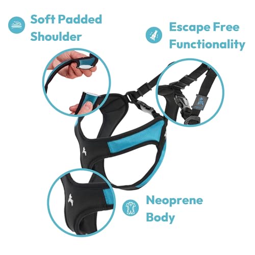 Gooby Escape Free Easy Fit Harness - Hot Pink, Medium - No Pull Step-in Patented Small Dog Harness with Quick Release Buckle - Perfect On The Go No Pull Harness for Small Dogs or Medium Dog Harness