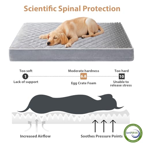 WNPETHOME Orthopedic Waterproof Extra Large Dogs Bed with Removable Washable Cover, Multi-Needle Quilting XL Crate Bed for Large Sized Dog, Light Grey
