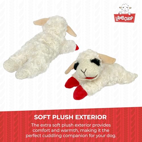 Multipet Lamb Chop Dog Plush Toy - Squeaky Toy for Small & Medium Dogs - Extra Soft Plush - Stuffed Animal for Cuddling & Playing (10", Cream, 5 Squeakers)