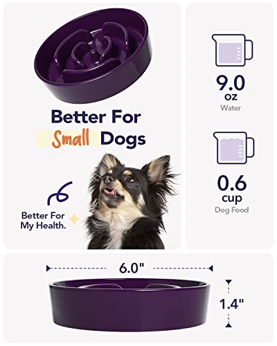LE TAUCI Ceramic Slow Feeder Dog Bowls Small Breed, 0.6 Cups Dog Food Dish for Fast Eaters, Puzzle Bowl for Small Dogs and Cats,Purple