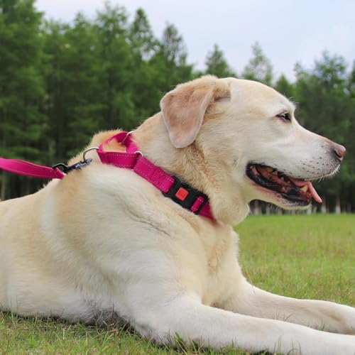 Joytale Martingale Collar for Dogs, Reflective Escape Proof Training Dog Collars with Safety Lock Buckle, No Slip Soft Nylon for Medium Pets, Hotpink, M