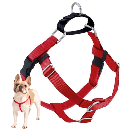 2 Hounds Design Freedom No Pull Dog Harness, Adjustable Harness, Easy Walking & Comfortable Control, Fits Small, Medium & Large Dogs, Solid Colors, Made in USA, 1" LG, Red
